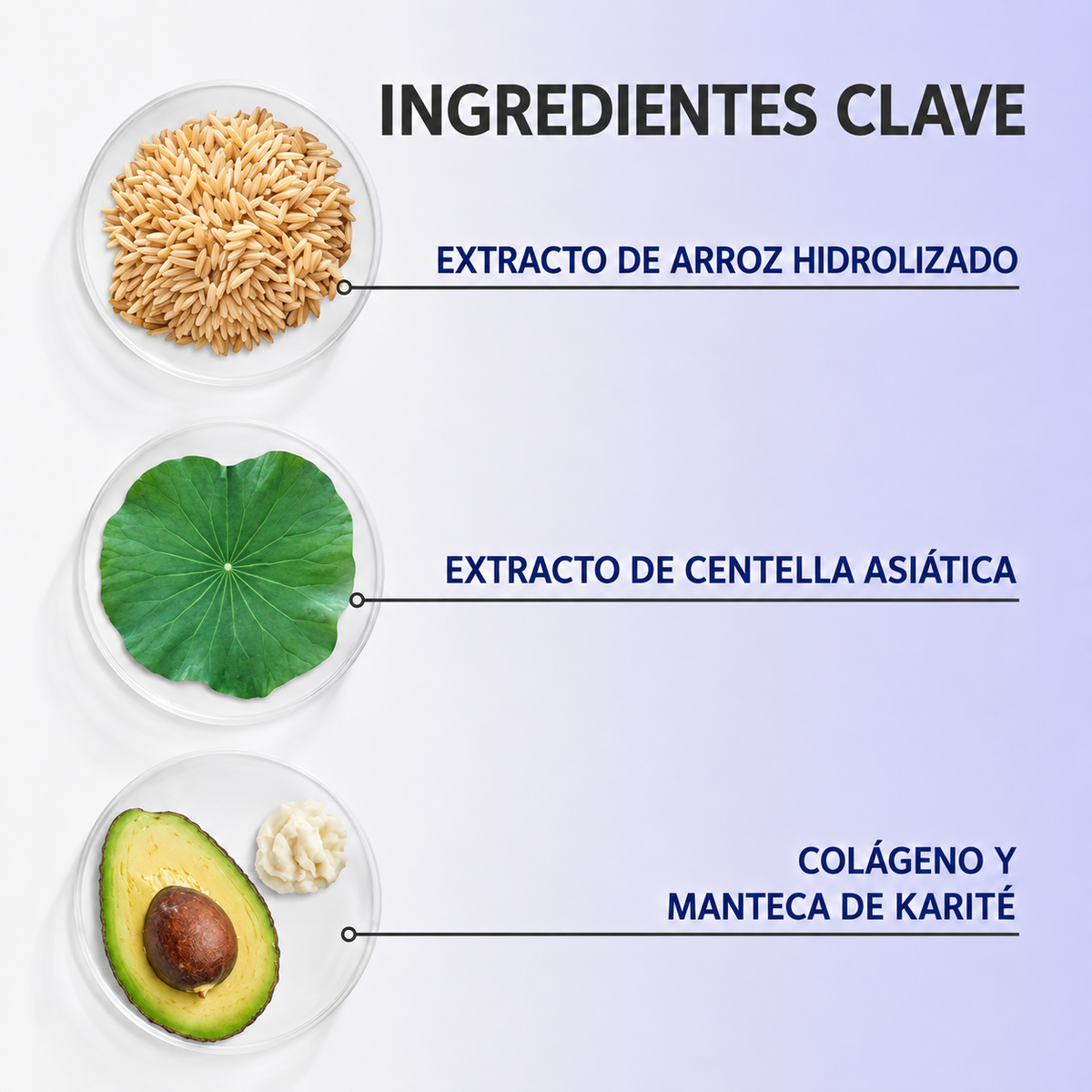 Transforma Tus Brazos
